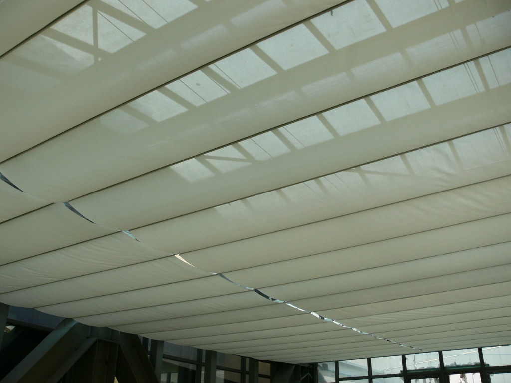 Lotte Department Store-1-2.jpg