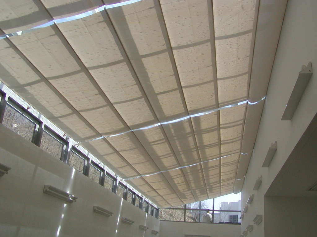 Myongji University-7-1.jpg