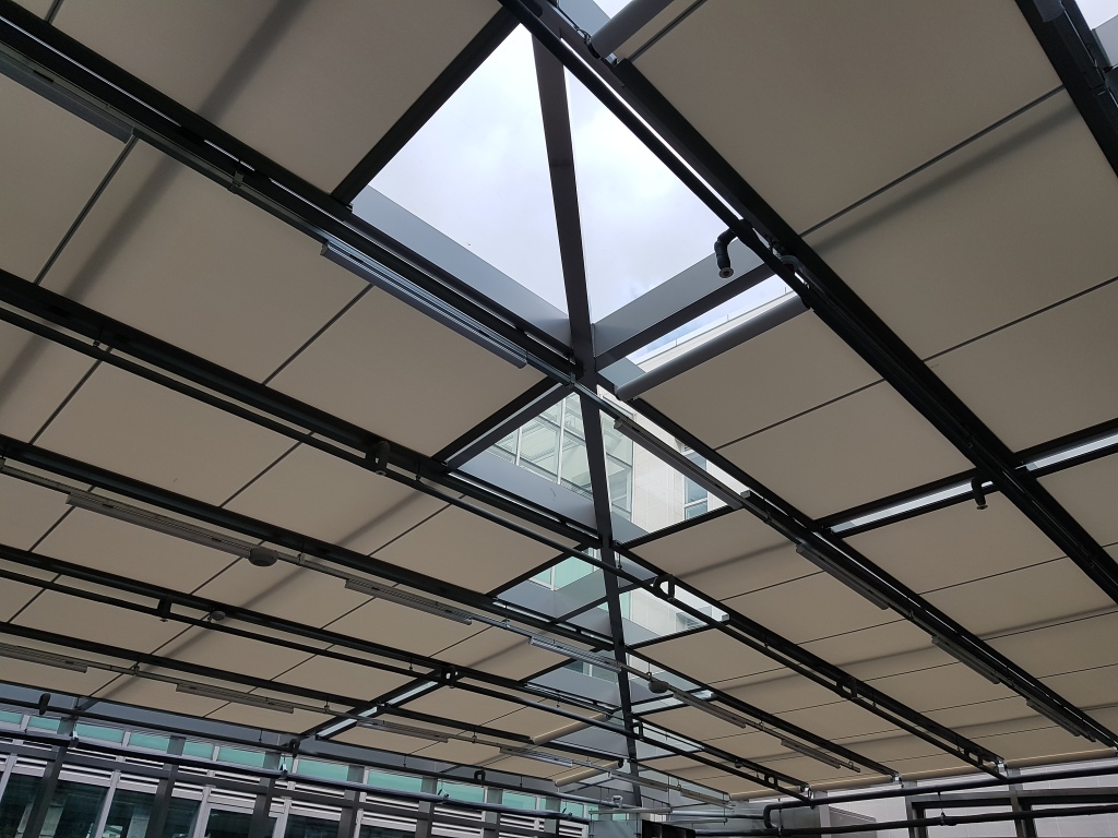 Jeju International School-14-2.jpg